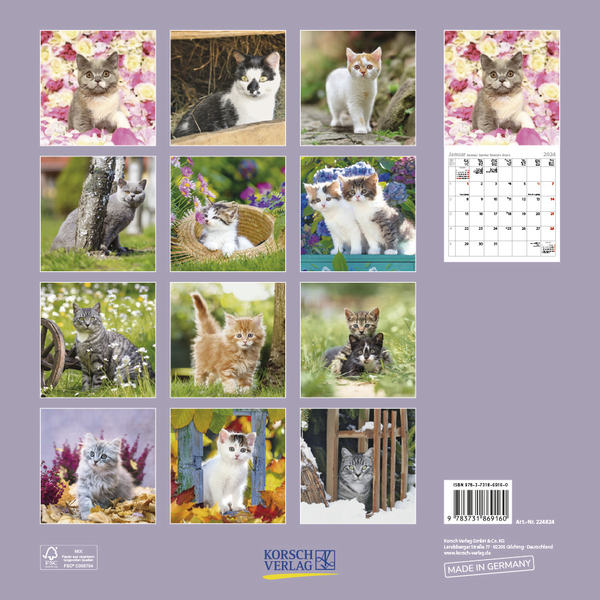 Bild: 9783731869160 | Cats 2024 | Korsch Verlag | Kalender | Englisch Broschur | 13 S.