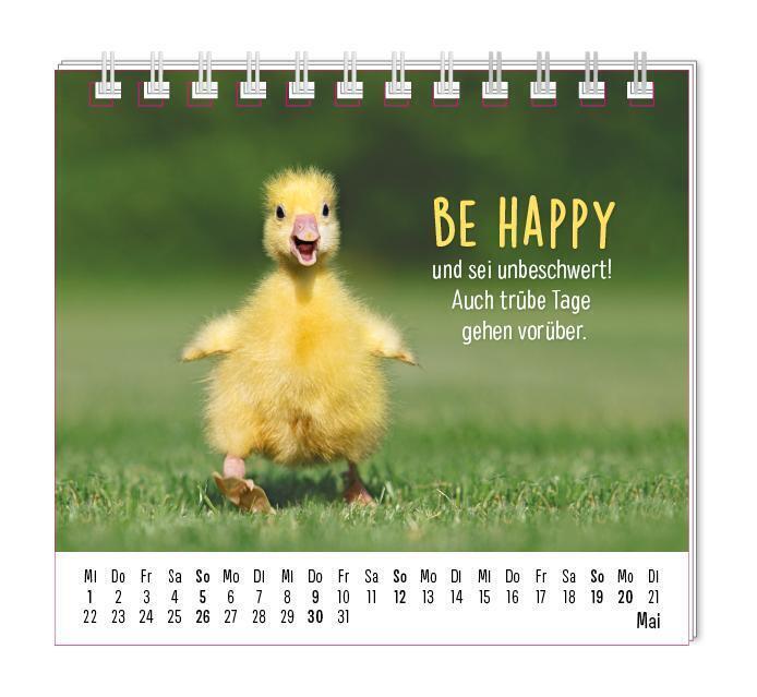 Bild: 9783986360351 | Mini-Kalender 2024 Happymacher | Mini-Kalender | Original | Kalender