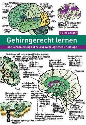 Cover: 9783039055845 | Gehirngerecht lernen | Peter Gasser | Taschenbuch | 2011 | hep Verlag
