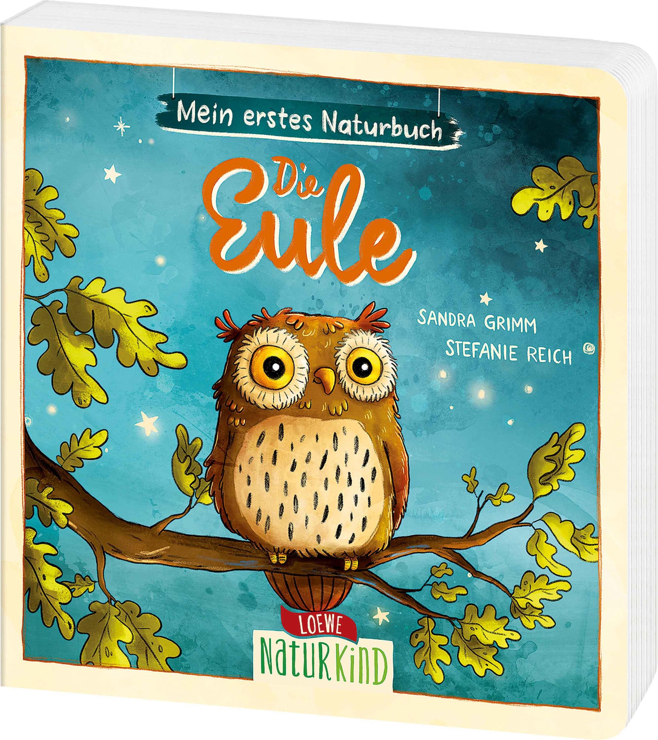 Cover: 9783743213166 | Mein erstes Naturbuch - Die Eule | Sandra Grimm | Buch | Naturkind