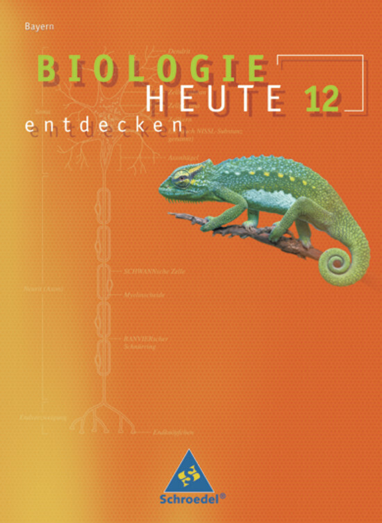 Cover: 9783507105164 | Biologie heute entdecken SII - Ausgabe 2009 Bayern | Schülerband 12