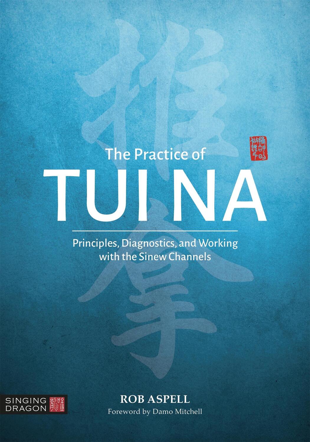 Cover: 9781848194120 | The Practice of Tui Na | Robert Aspell | Taschenbuch | Englisch | 2019
