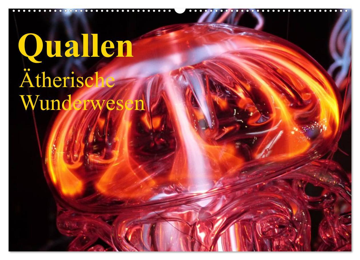 Cover: 9783435744015 | Quallen ¿ Ätherische Wunderwesen (Wandkalender 2025 DIN A2 quer),...