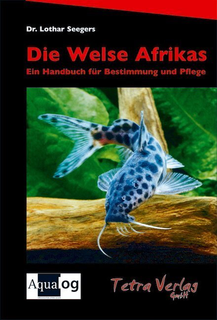Cover: 9783897451919 | Die Welse Afrikas | Ein Handbuch für Bestimmung und Pflege | Seegers