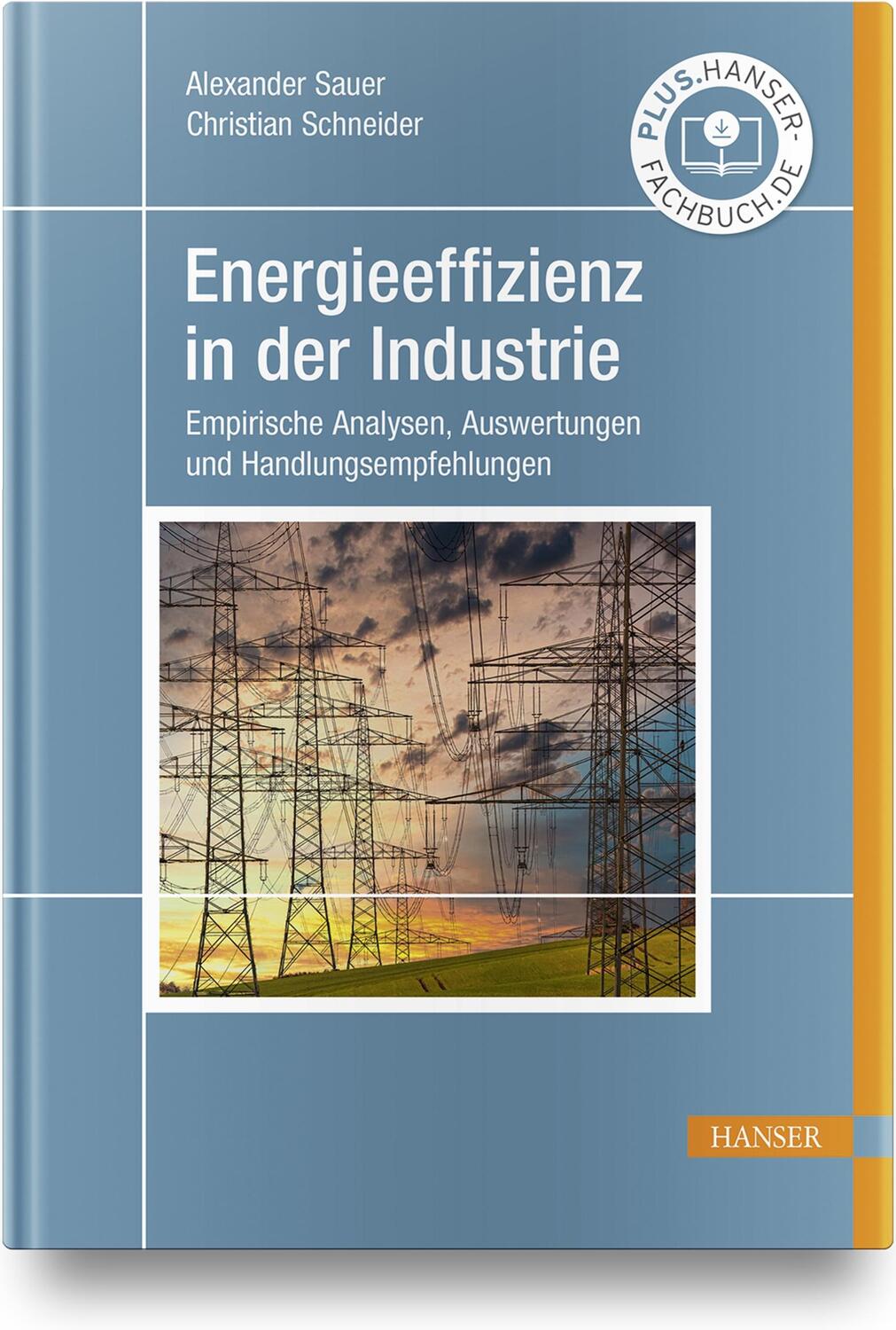 Cover: 9783446466500 | Energieeffizienz in der Industrie | Alexander Sauer (u. a.) | Buch