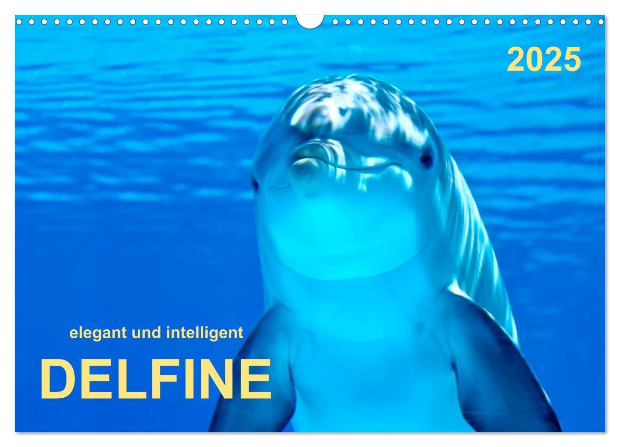 Cover: 9783435594177 | Delfine - elegant und intelligent (Wandkalender 2025 DIN A3 quer),...