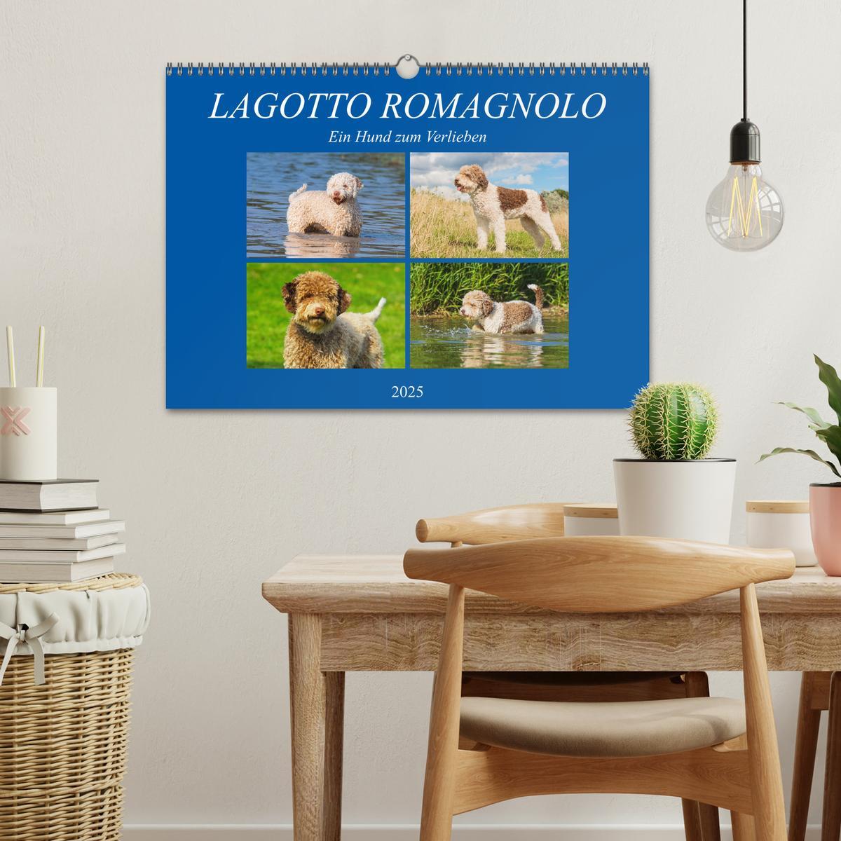 Bild: 9783435312399 | Lagotto Romagnolo - Ein Hund zum Verlieben (Wandkalender 2025 DIN...