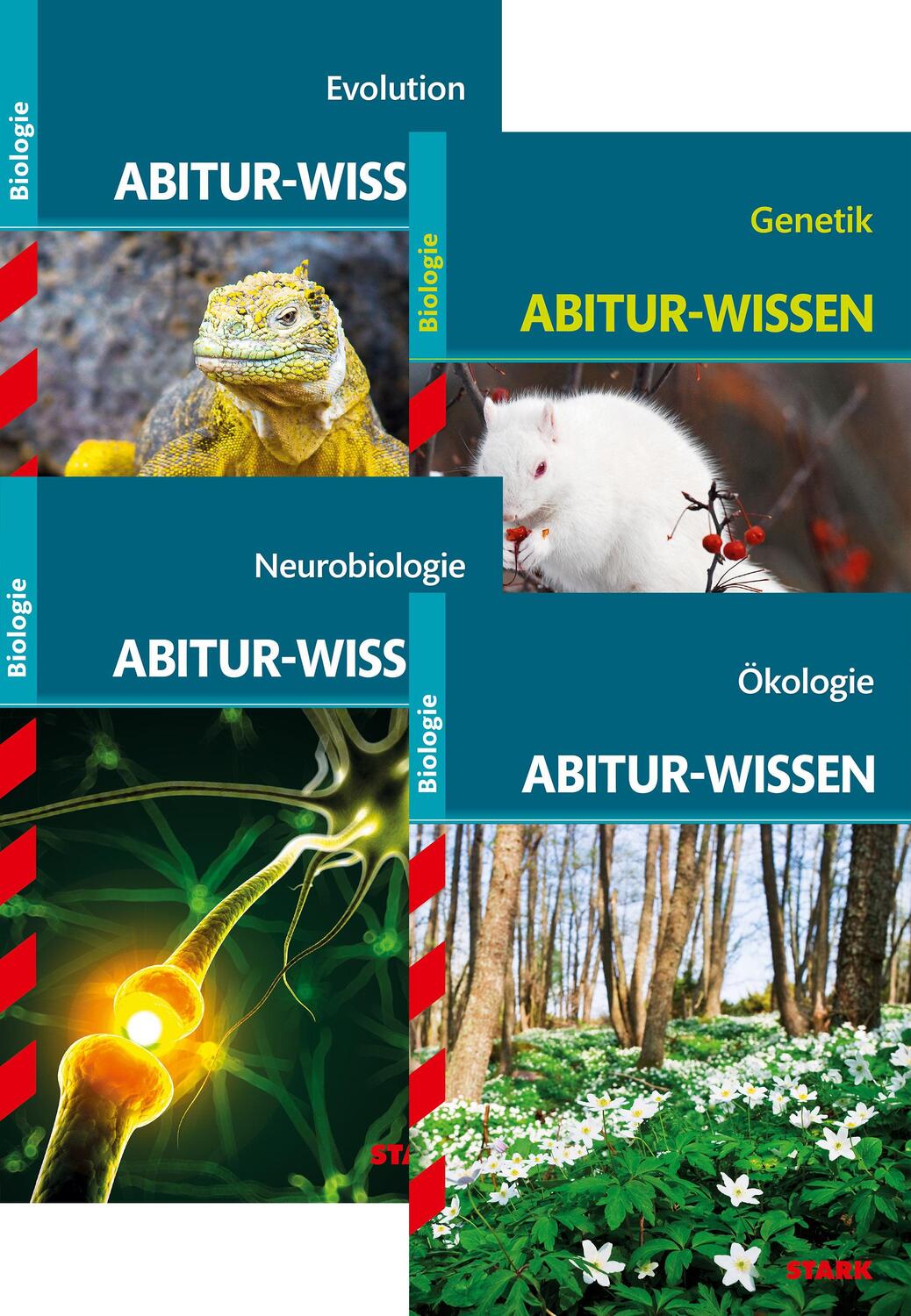 Cover: 9783849039561 | STARK Abitur-Wissen Biologie Bände 1-4 | Thomas Kappel (u. a.) | Buch