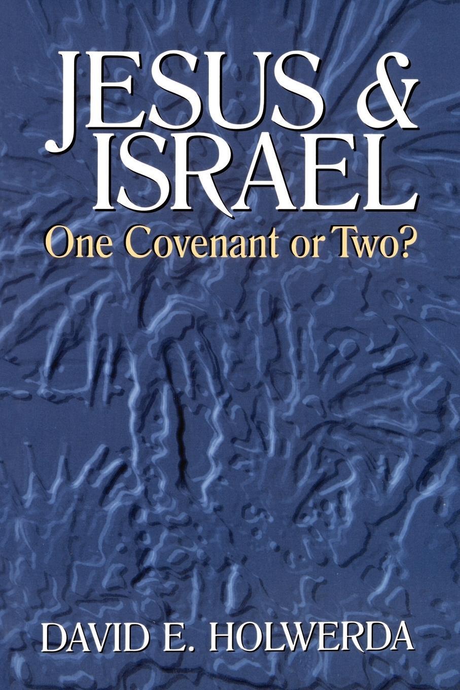Cover: 9780802806857 | Jesus and Israel | One Covenant or Two? | David E. Holwerda | Buch