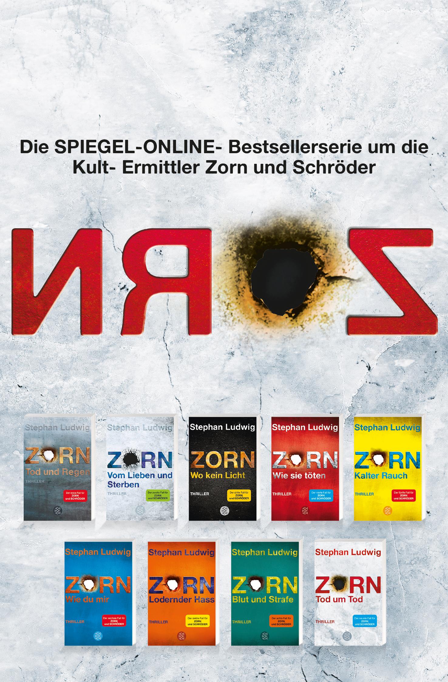 Bild: 9783596703876 | Zorn - Tod um Tod | Thriller | Stephan Ludwig | Taschenbuch | 416 S.