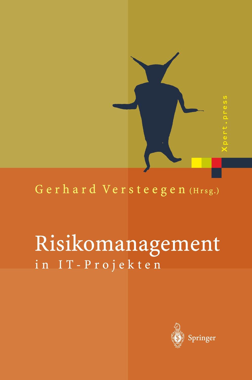 Cover: 9783540441755 | Risikomanagement in IT-Projekten | Gerhard Versteegen | Buch | xvi