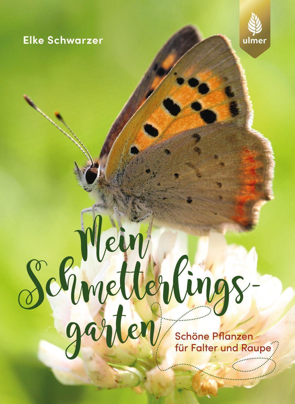 Cover: 9783818616342 | Mein Schmetterlingsgarten | Schöne Pflanzen für Falter und Raupe