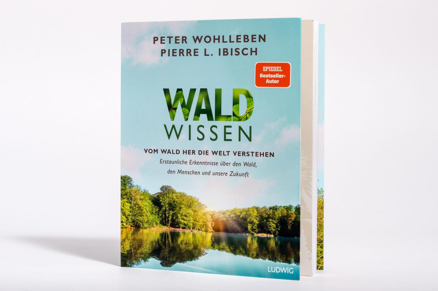 Bild: 9783453281493 | Waldwissen | Peter Wohlleben (u. a.) | Taschenbuch | Deutsch | 2023