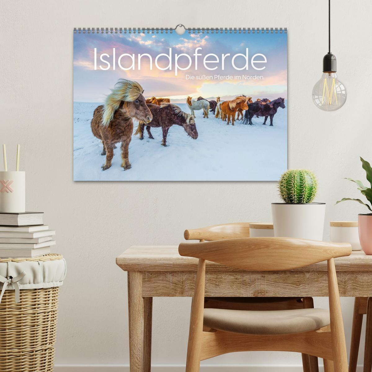 Bild: 9783457181584 | Islandpferde - Die süßen Pferde im Norden. (Wandkalender 2025 DIN...