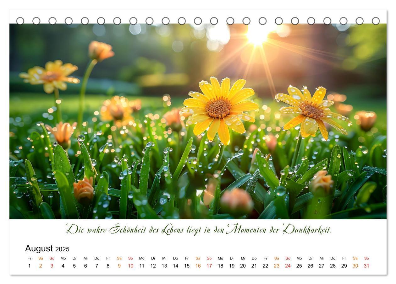 Bild: 9783383814624 | Freu Dich Motivations-Kalender (Tischkalender 2025 DIN A5 quer),...