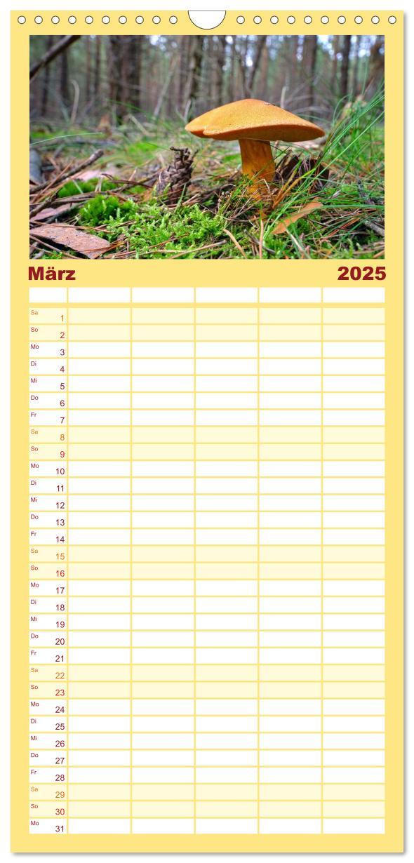 Bild: 9783457104149 | Familienplaner 2025 - Heimische Pilze mit 5 Spalten (Wandkalender,...