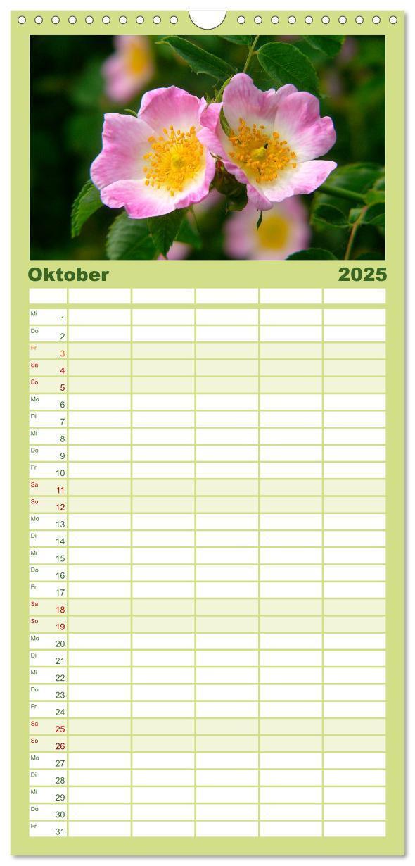 Bild: 9783457120347 | Familienplaner 2025 - Wildblumen 2025 mit 5 Spalten (Wandkalender,...