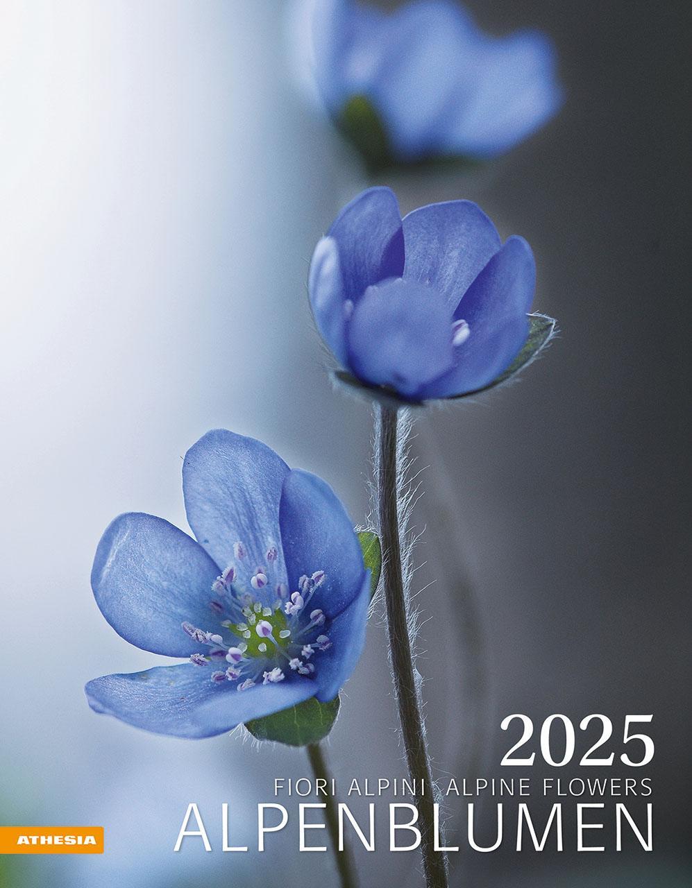 Cover: 9788868397425 | Alpenblumen Kalender 2025 | Fiori alpini - Alpine flowers | Verlag