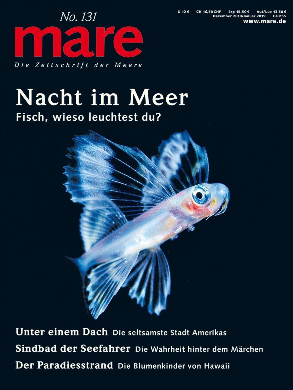 Cover: 9783866484207 | mare 131 - Nacht im Meer | Taschenbuch | 130 S. | Deutsch | 2018