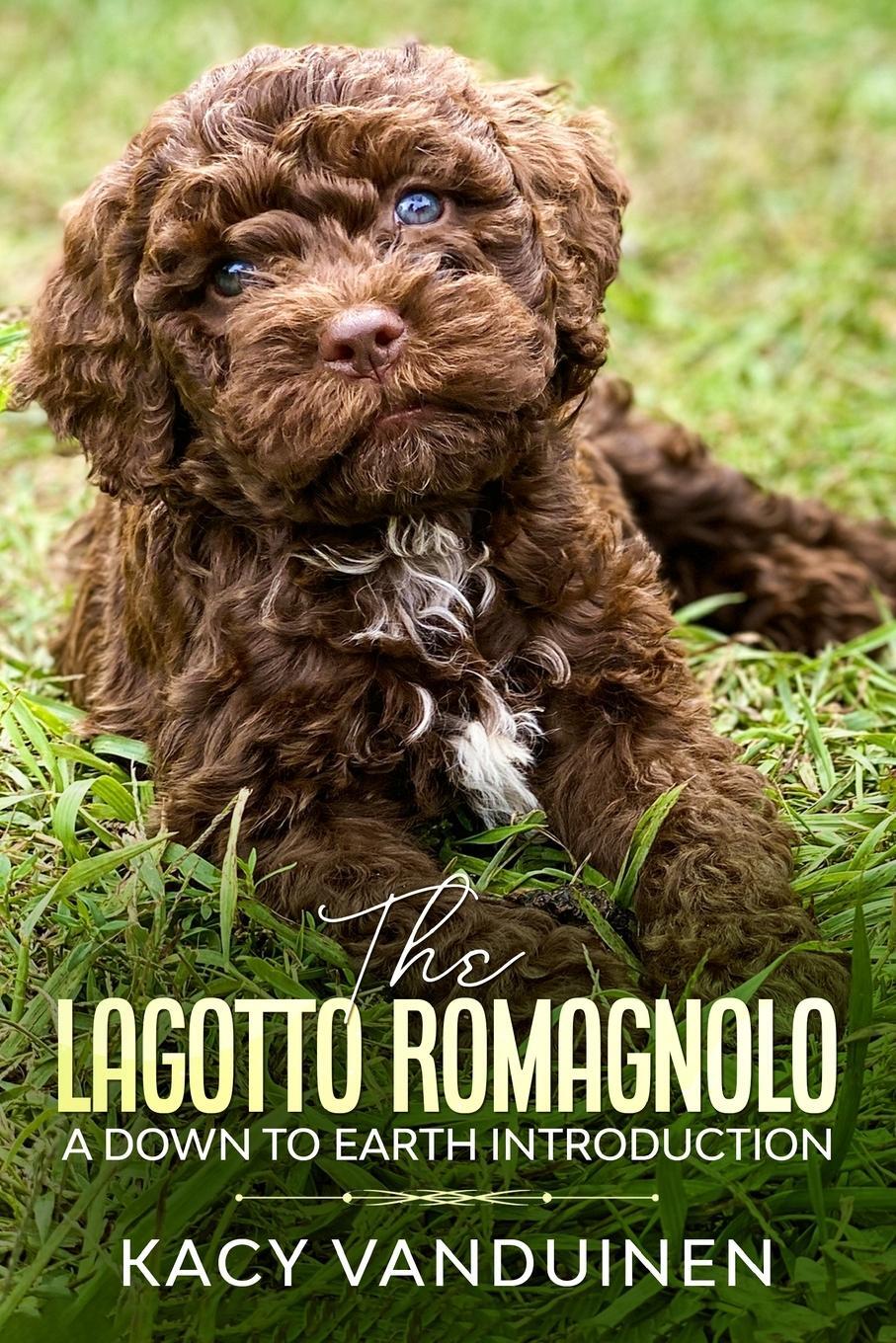 Cover: 9780578764023 | The Lagotto Romagnolo, A Down To Earth Introduction | Vanduinen | Buch