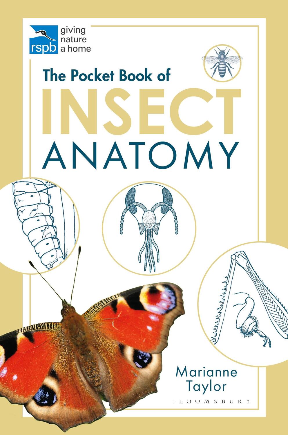 Cover: 9781472976871 | The Pocket Book of Insect Anatomy | Marianne Taylor | Taschenbuch