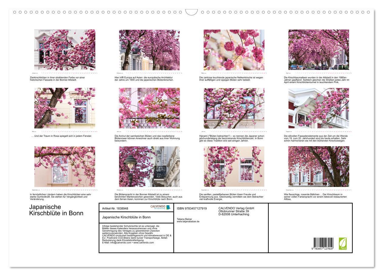 Bild: 9783457127919 | Japanische Kirschblüte in Bonn (Wandkalender 2025 DIN A2 quer),...