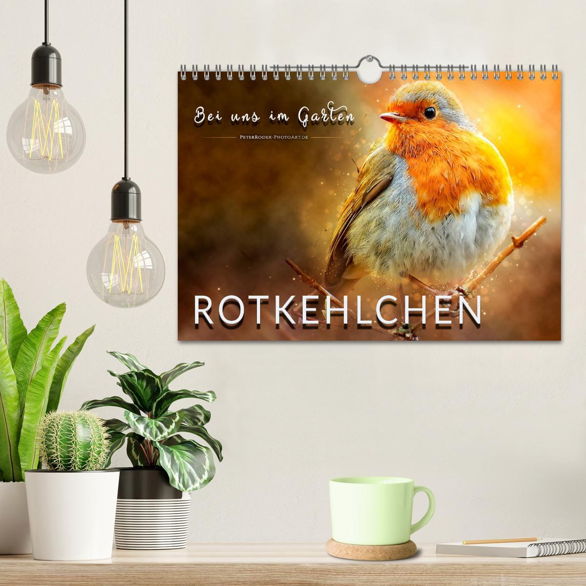 Bild: 9783435334100 | Bei uns im Garten - Rotkehlchen (Wandkalender 2025 DIN A4 quer),...