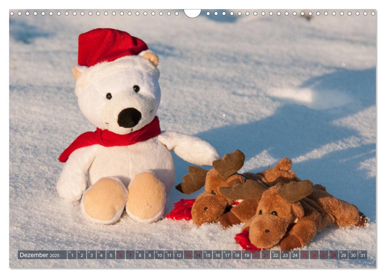 Bild: 9783435411832 | Kunterbunte Bärenwelt - Teddys (Wandkalender 2025 DIN A3 quer),...