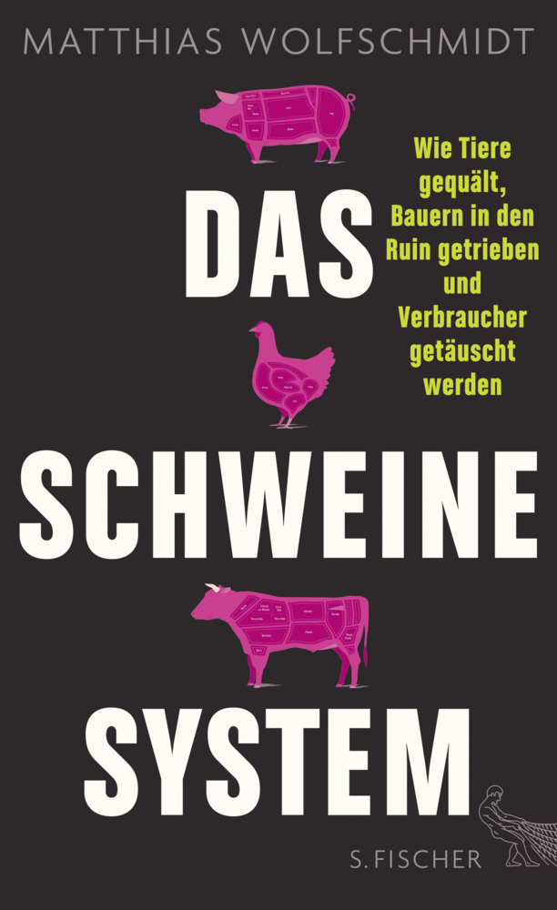 Cover: 9783100025463 | Das Schweinesystem | Matthias Wolfschmidt | Taschenbuch | Deutsch