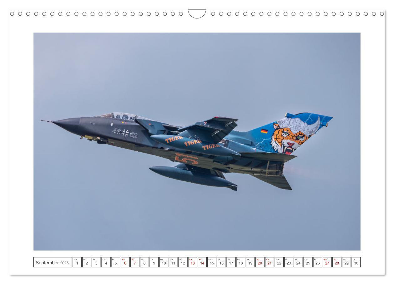 Bild: 9783457154199 | Tiger Meet Schleswig (Wandkalender 2025 DIN A3 quer), CALVENDO...