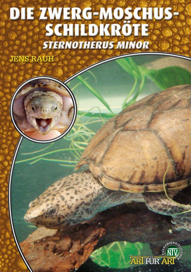 Cover: 9783866591370 | Die Zwerg-Moschus-Schildkröte | Jens Rauh | Taschenbuch | Art für Art