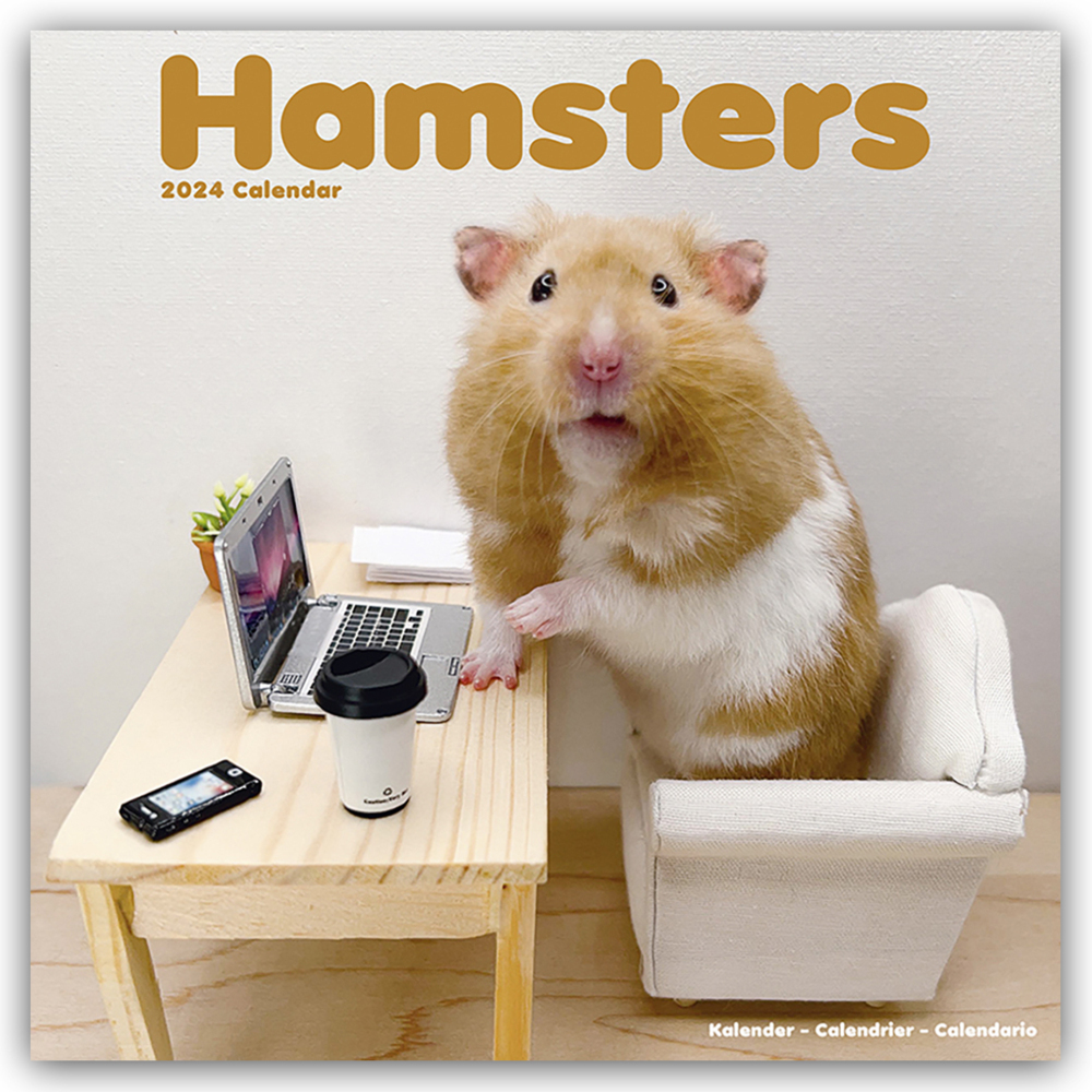Cover: 9781804601433 | Hamsters - Hamster 2024 - 16-Monatskalender | Avonside Publishing Ltd