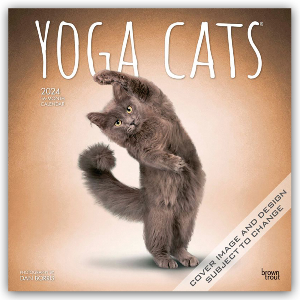 Cover: 9781975467012 | Yoga Cats - Yoga-Katzen 2024 - 16-Monatskalender | Publisher | Deutsch