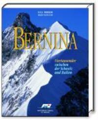 Cover: 9783907067109 | Bernina | Viertausender zwischen der Schweiz und Italien | Gebunden