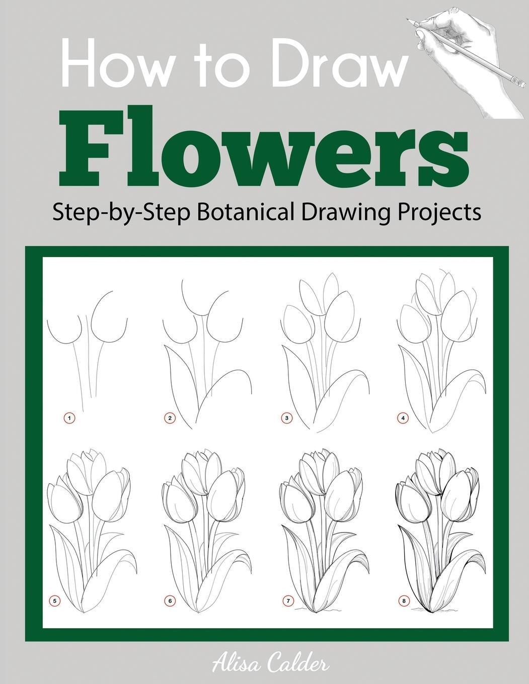 Cover: 9781647901219 | How to Draw Flowers | Step-by-Step Botanical Drawing Projects | Calder