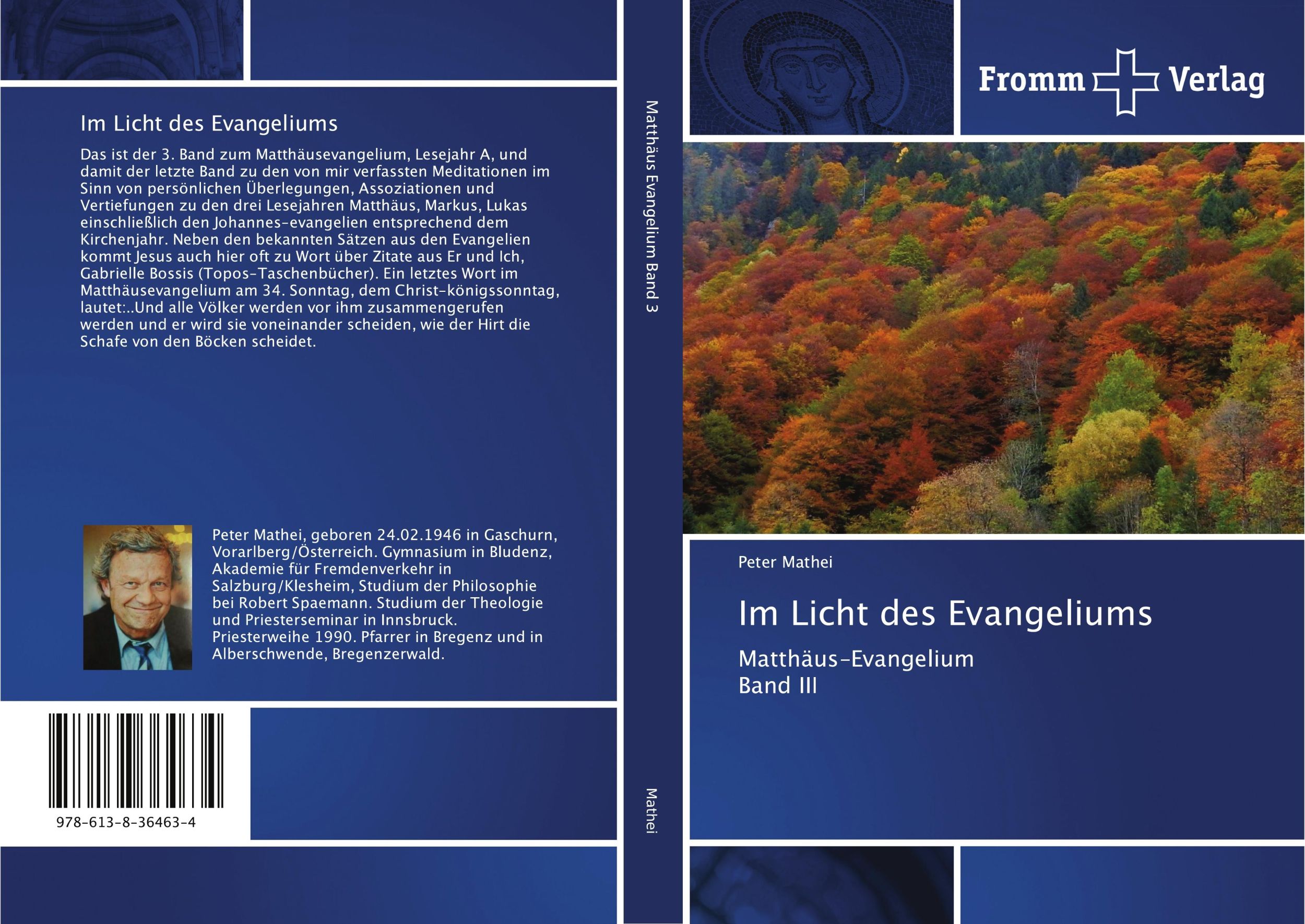 Cover: 9786138364634 | Im Licht des Evangeliums | Matthäus-Evangelium Band III | Peter Mathei