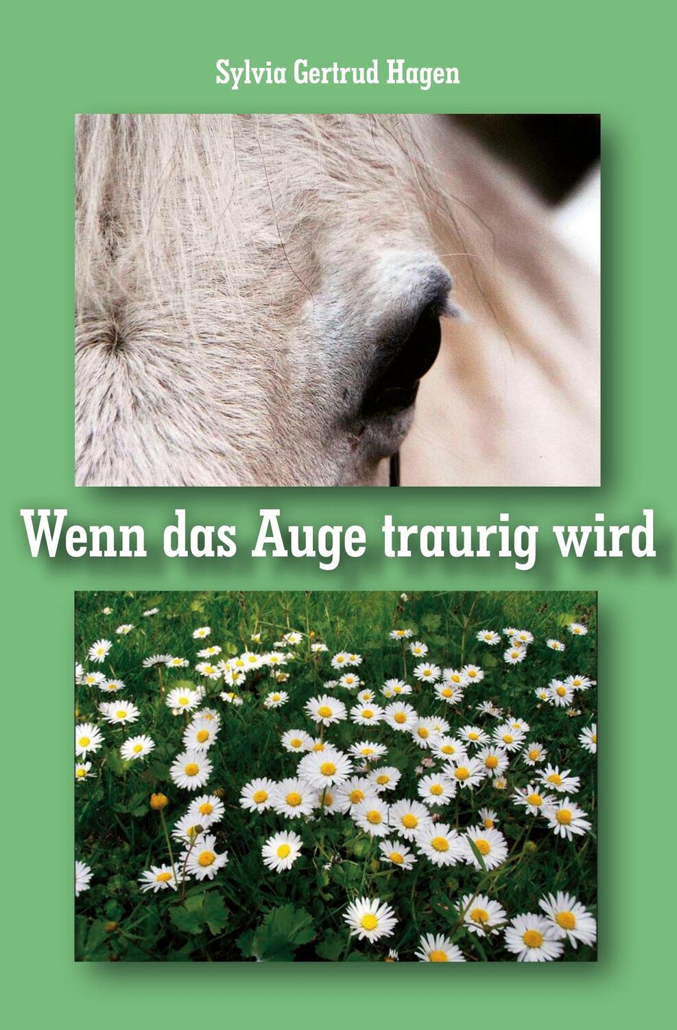 Cover: 9783962294588 | Wenn das Auge traurig wird | Sylvia Gertrud Hagen | Taschenbuch | 2023