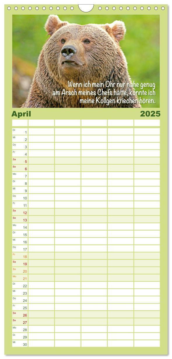 Bild: 9783457091913 | Familienplaner 2025 - Spaß mit Bären: Edition lustige Tiere mit 5...