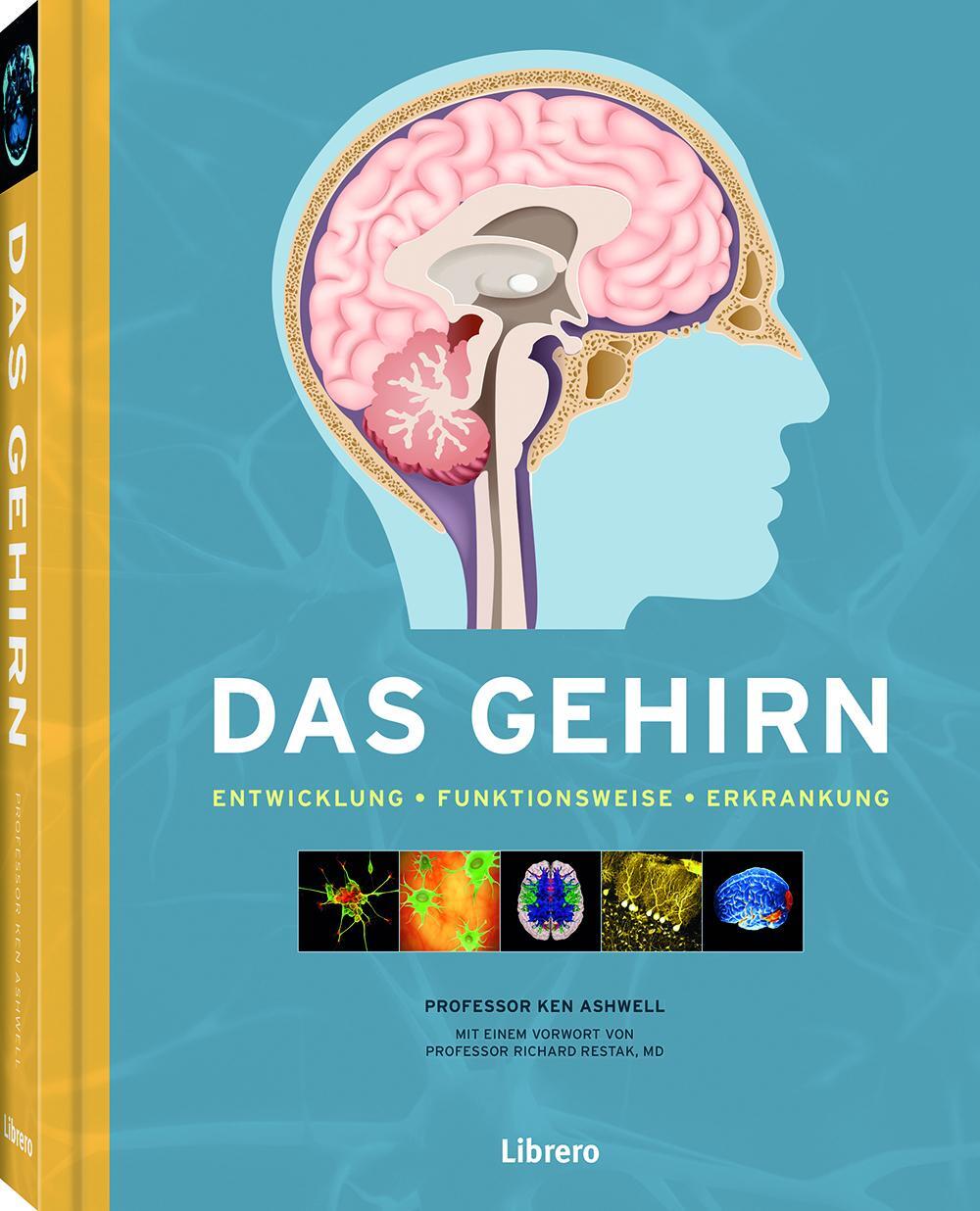 Cover: 9789463593038 | Das Gehirn | Das Gehirn und die psychische Gesundheit | Ken Ashwell