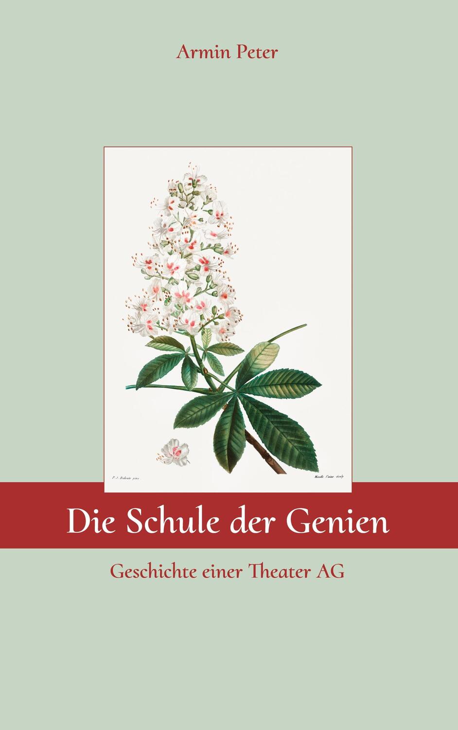 Cover: 9783750411593 | Die Schule der Genien | Geschichte einer Theater AG | Armin Peter