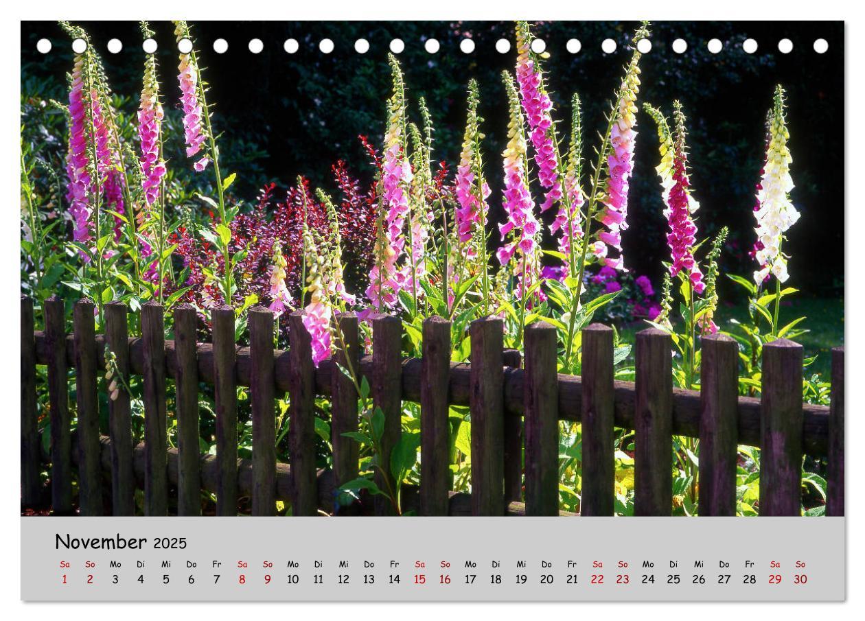 Bild: 9783435227211 | Blumen überall, zur Freude Menschen (Tischkalender 2025 DIN A5...