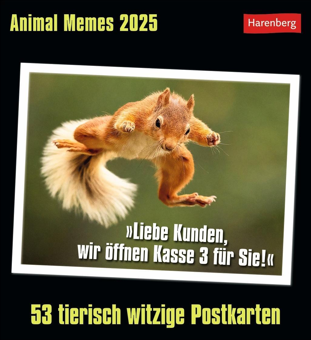 Cover: 9783840035012 | Animal Memes Postkartenkalender 2025 - 53 tierisch witzige Postkarten