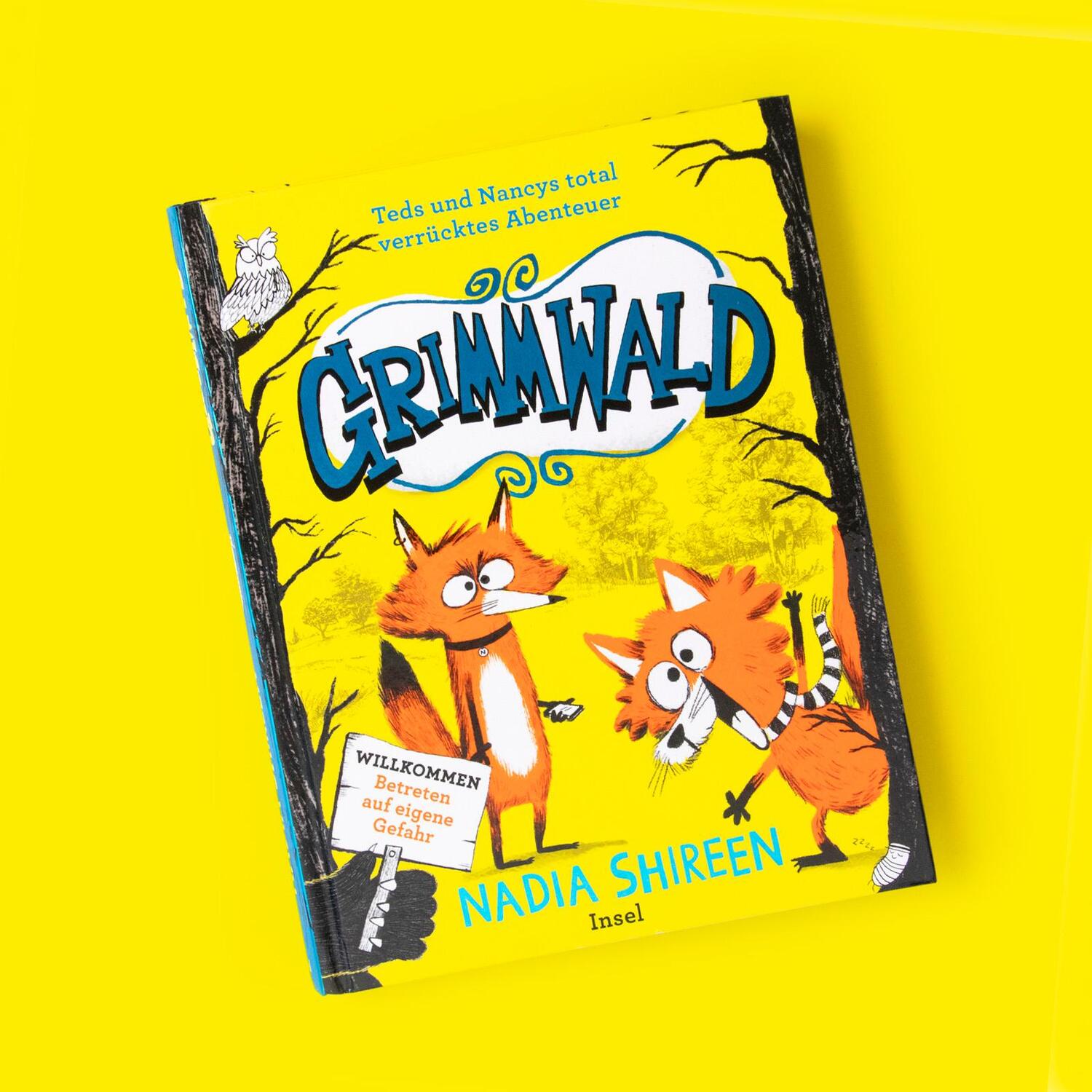 Bild: 9783458643616 | Grimmwald: Teds und Nancys total verrücktes Abenteuer - Band 1 | Buch