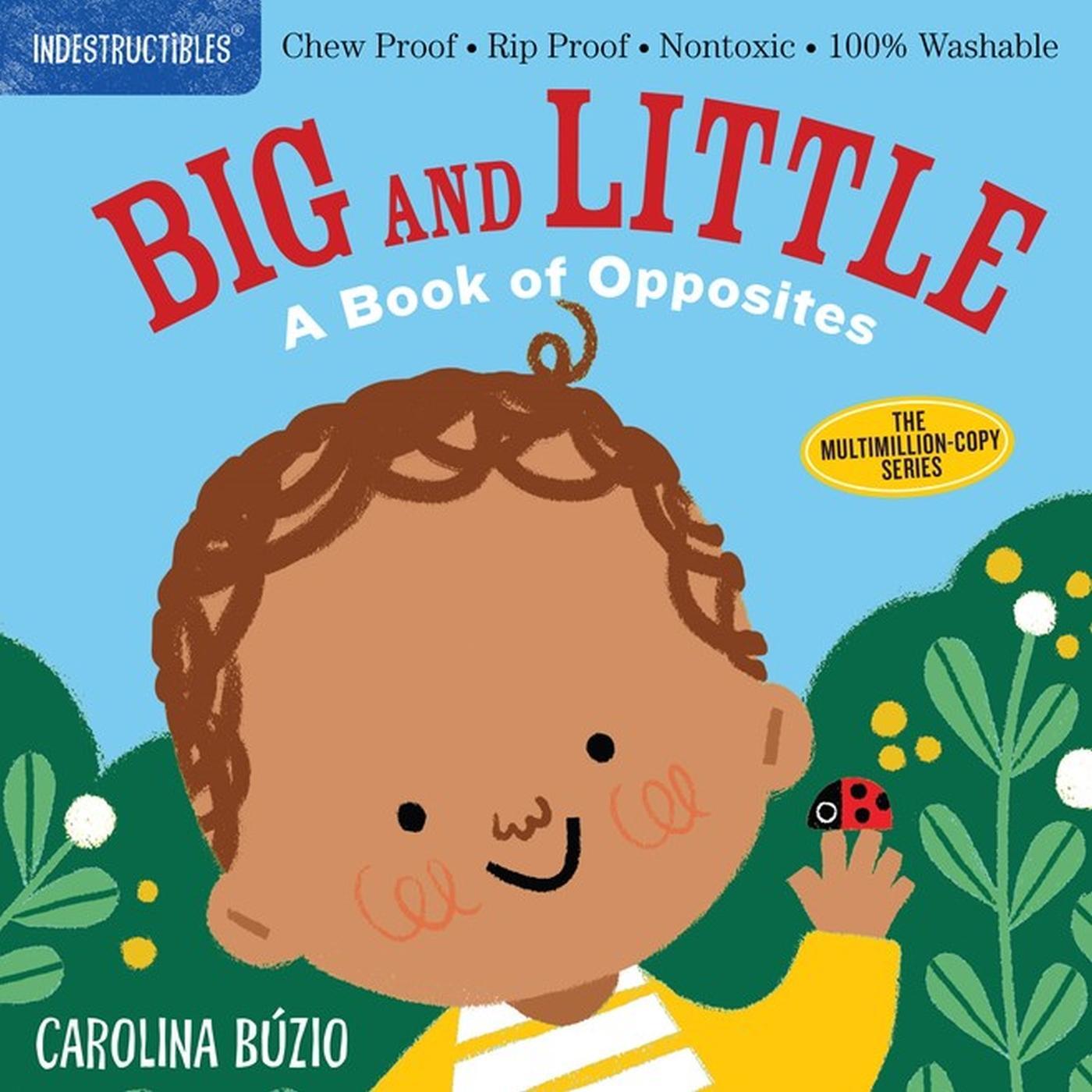 Cover: 9781523511143 | Indestructibles: Big and Little: A Book of Opposites | Amy Pixton