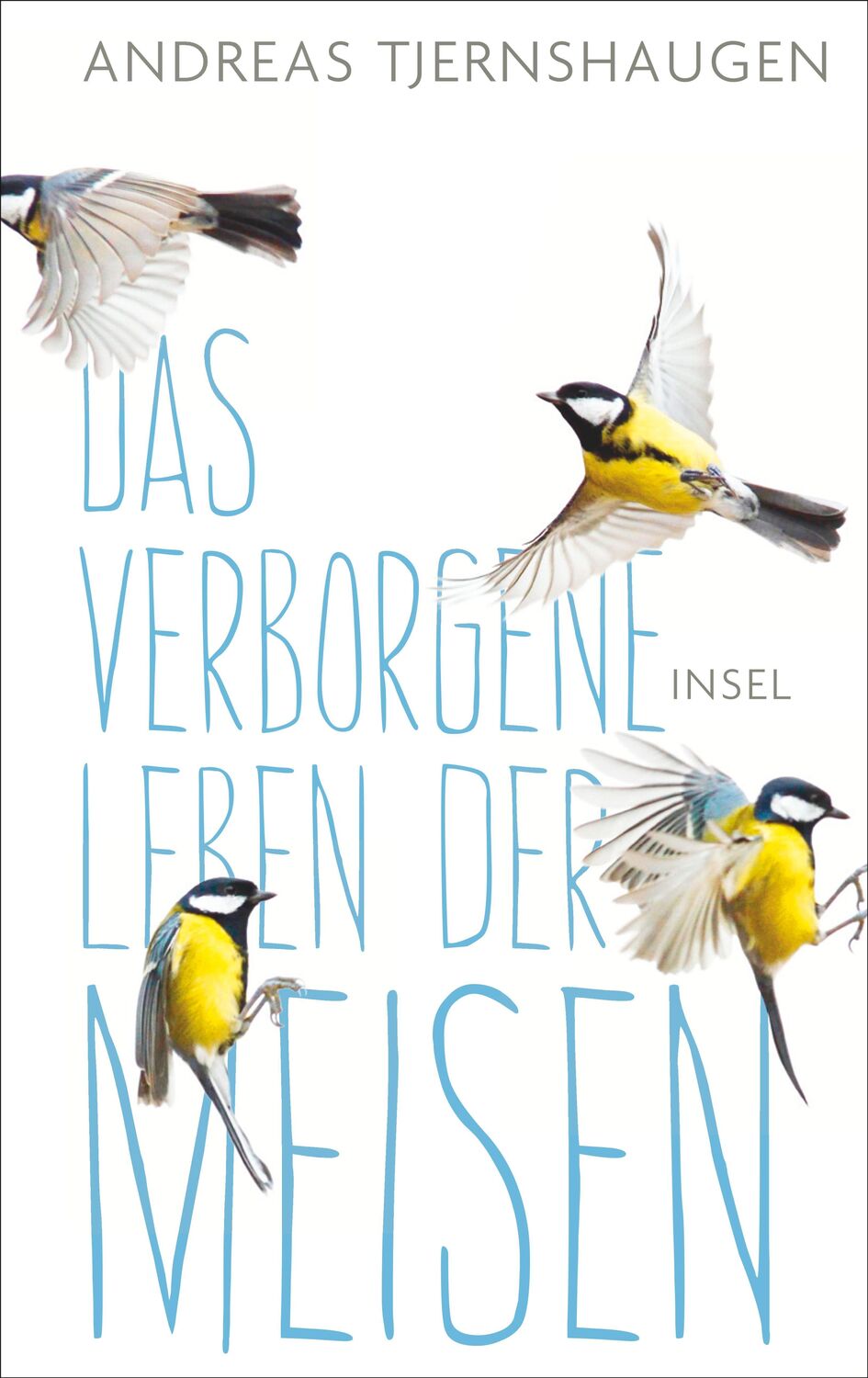 Cover: 9783458177234 | Das verborgene Leben der Meisen | Andreas Tjernshaugen | Buch | 234 S.