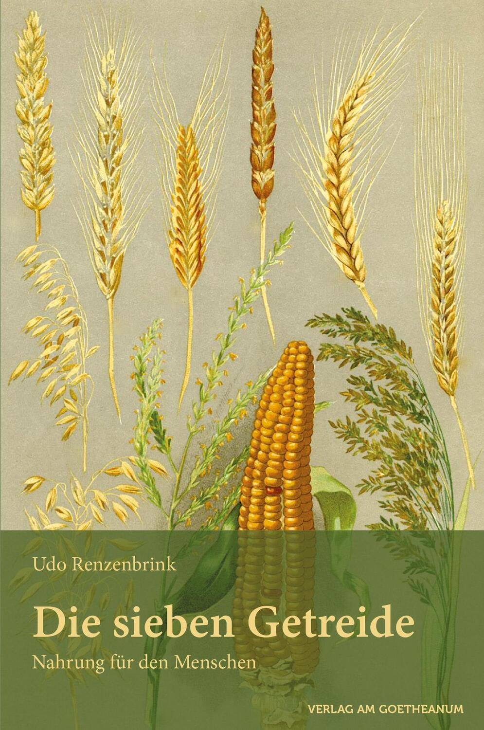 Cover: 9783723515228 | Die sieben Getreide | Nahrung für den Menschen | Udo Renzenbrink