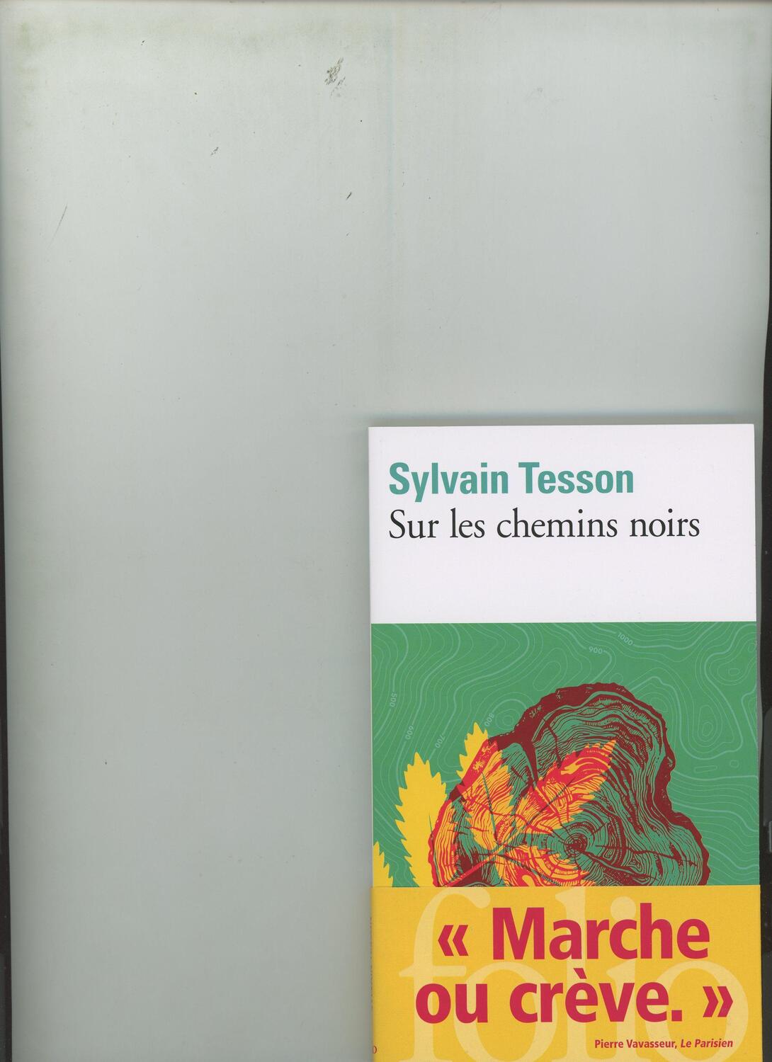 Cover: 9782072823428 | Sur les chemins noirs | Sylvain Tesson | Taschenbuch | Französisch