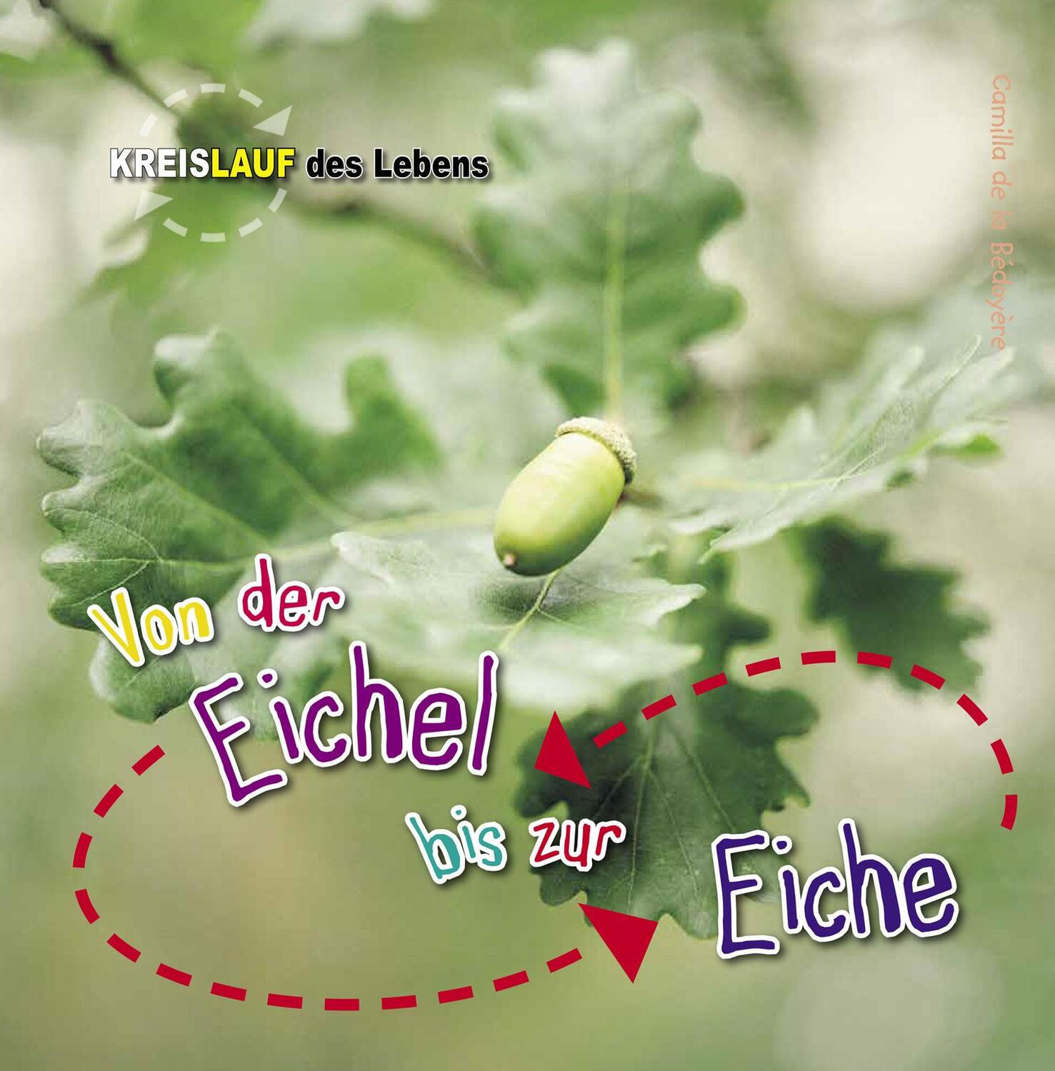 Cover: 9789461754264 | Von der Eichel bis zur Eiche | Kreislauf des Lebens | Bédoyère | Buch