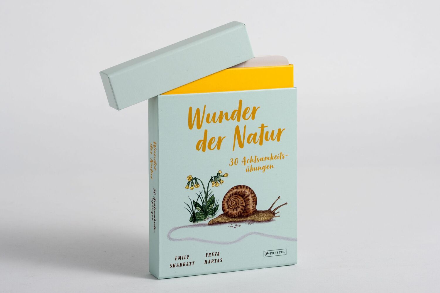 Bild: 9783791375038 | Wunder der Natur - 30 Achtsamkeitsübungen | Box mit 31 Karten | Stück