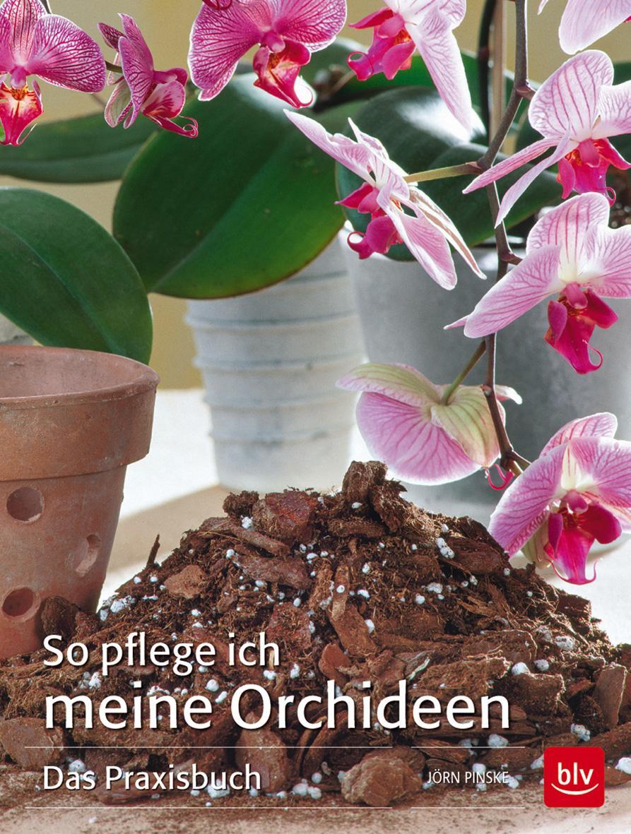Cover: 9783835414389 | So pflege ich meine Orchideen | Das Praxisbuch | Jörn Pinske | Buch